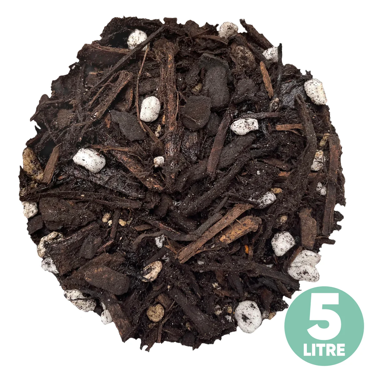 New Year's Super Sale