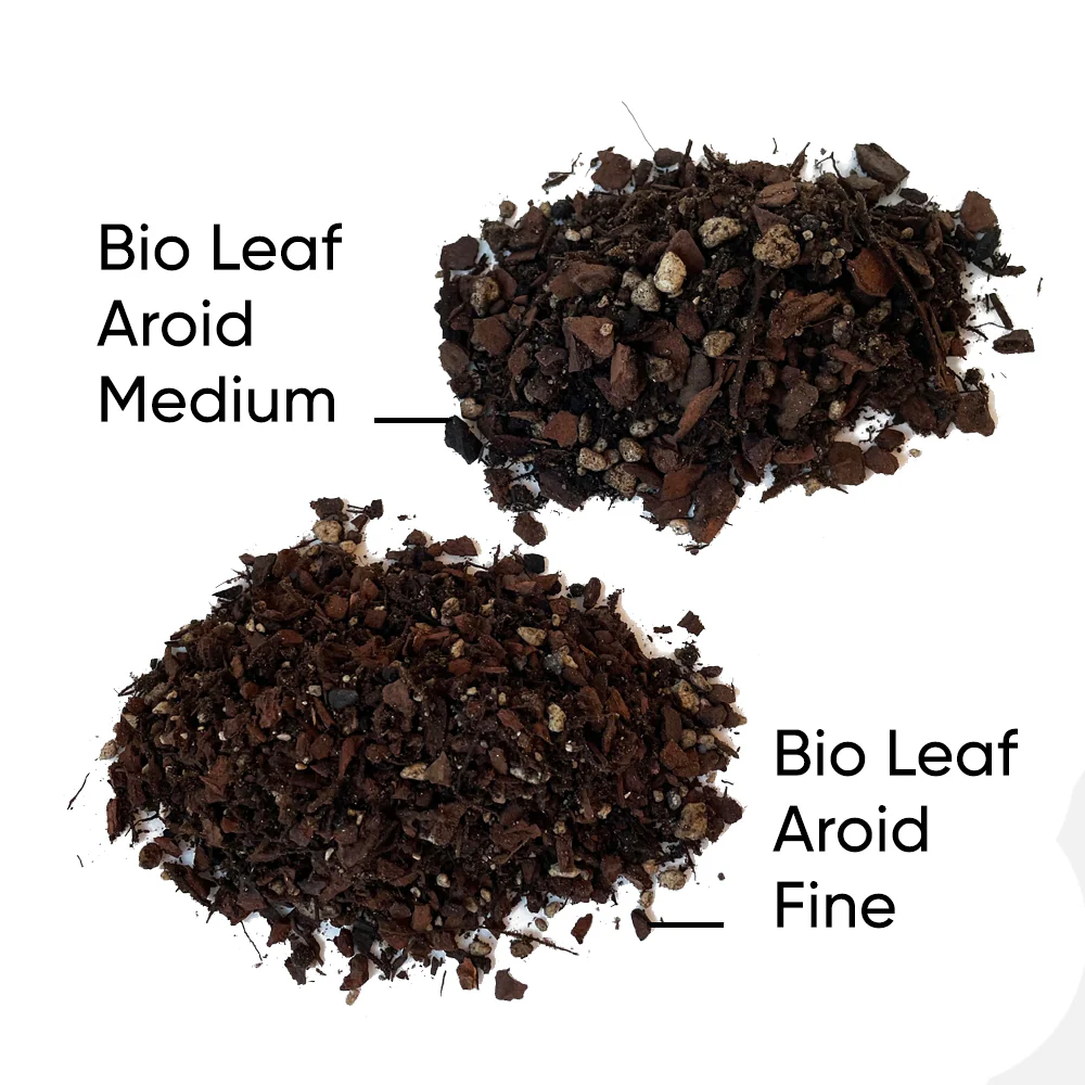 Bio Leaf AROID & HOYA Potting Mix MEDIUM - 5 litre - Image 4