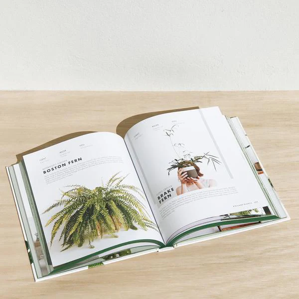 Book - Leaf Supply A Guide to Keeping Happy Houseplants - Image 4