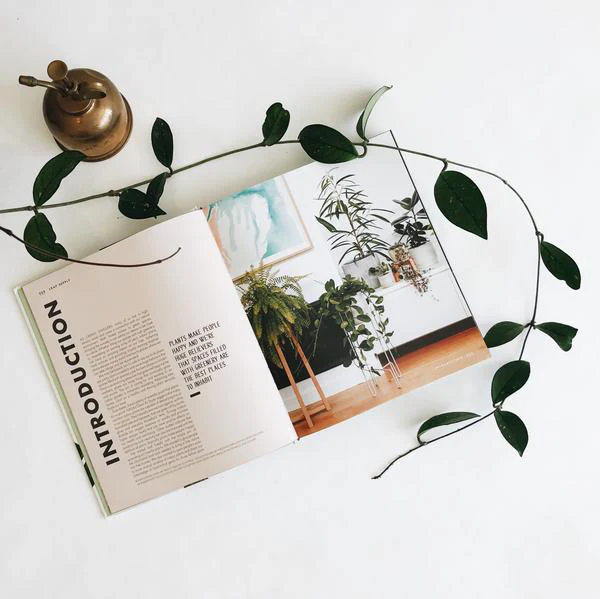 Book - Leaf Supply A Guide to Keeping Happy Houseplants - Image 6