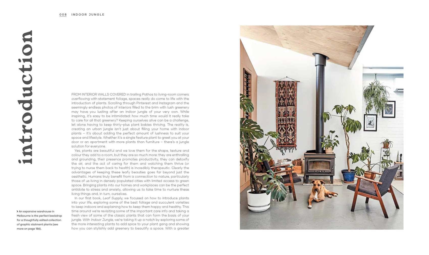 Book - The Leaf Supply Guide to Creating Your Indoor Jungle - Image 4