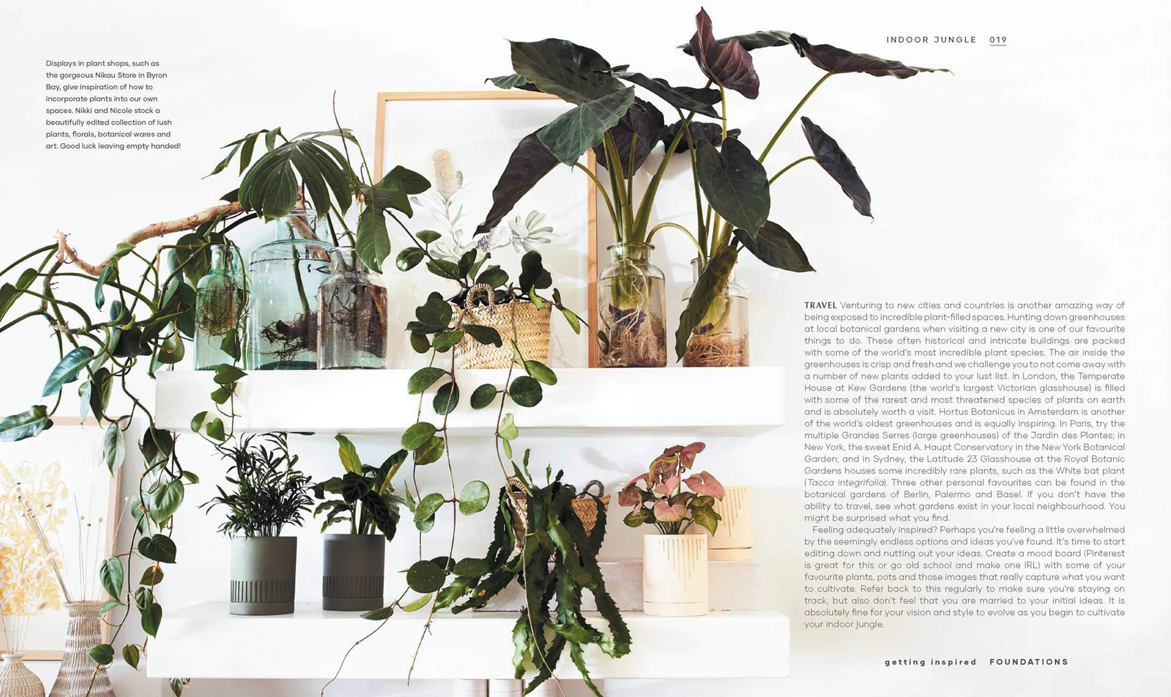 Book - The Leaf Supply Guide to Creating Your Indoor Jungle - Image 5