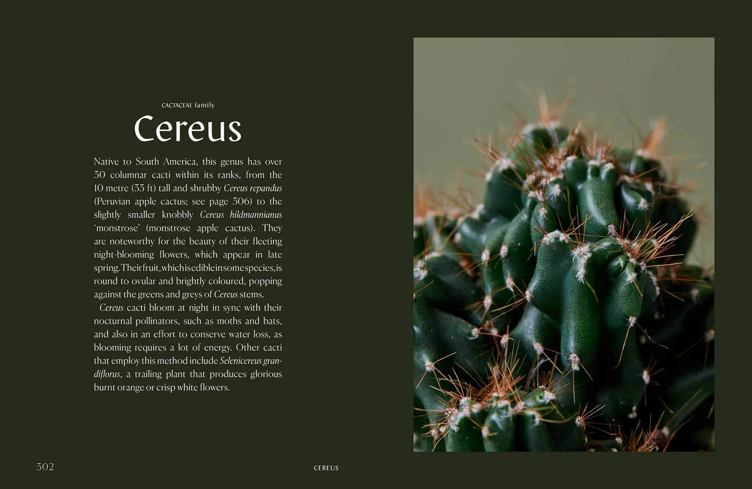 Book - Plantopedia: The Definitive Guide to Houseplants - Image 5