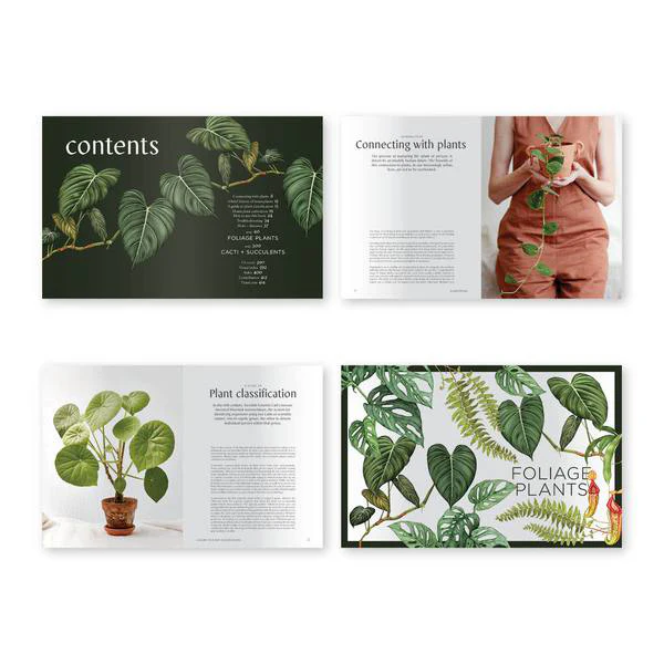 Book - Plantopedia: The Definitive Guide to Houseplants - Image 9