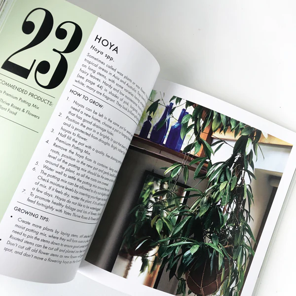 Book - Yates Top 50 Indoor Plants and How Not to Kill Them - Image 6