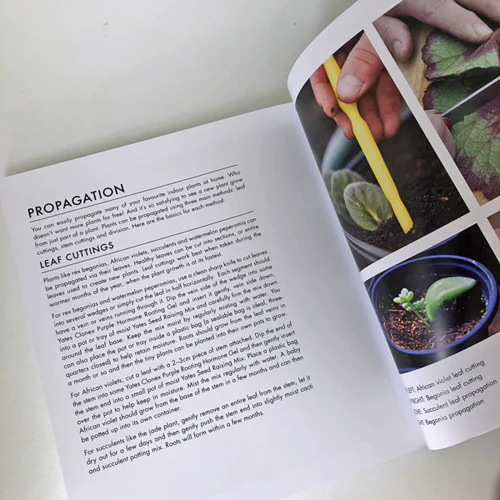 Book - Yates Top 50 Indoor Plants and How Not to Kill Them - Image 9
