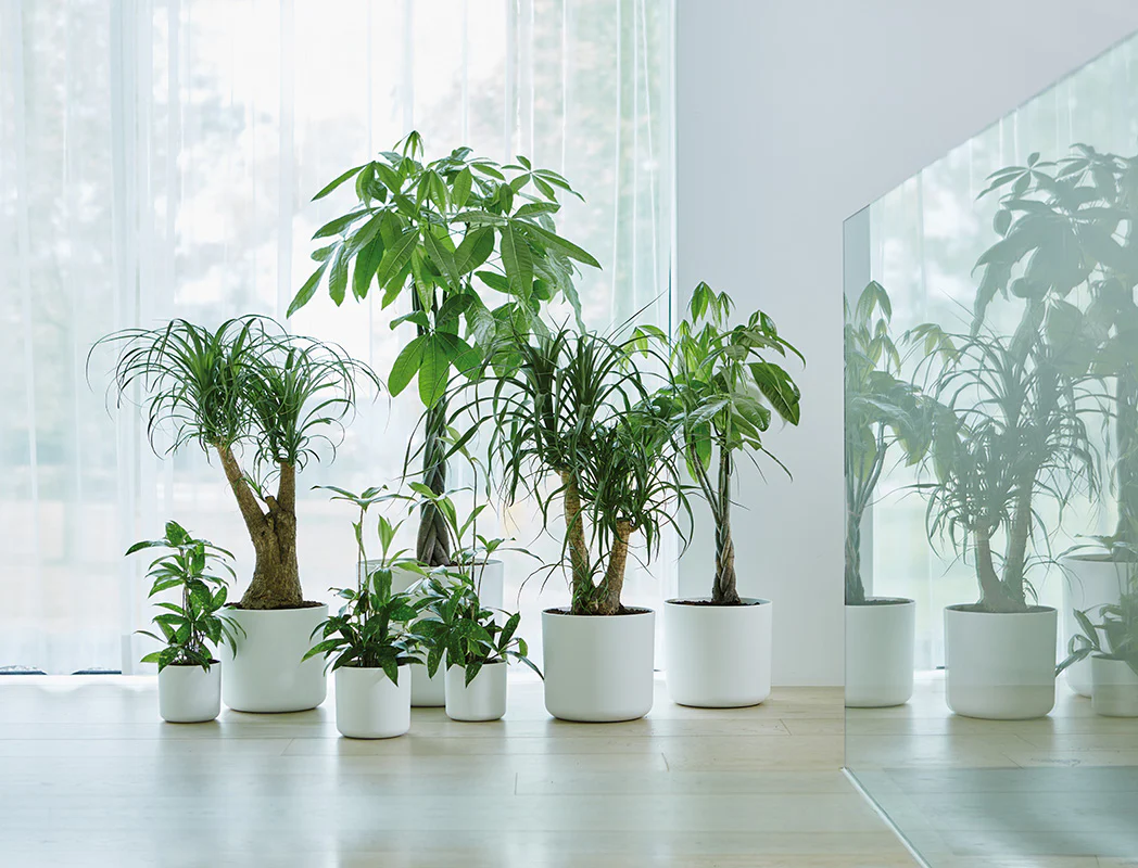 Cover Pot - Elho B.For Soft - 16cm White - Image 3