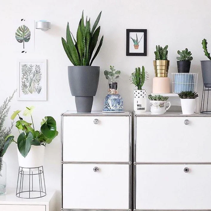 Cover Pot - Elho Brussels Round Mini - 12.5cm White - Image 4