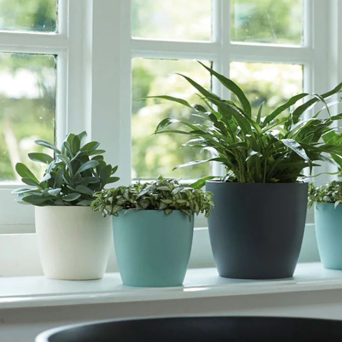 Cover Pot - Elho Brussels Round - 18cm White - Image 4