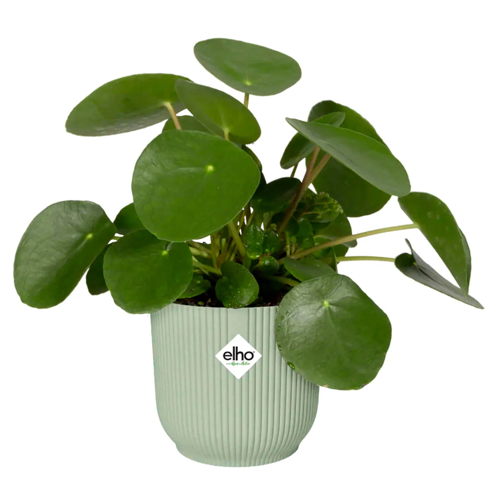 Cover Pot - Elho Vibes - 14cm Mint Sorbet - Image 3
