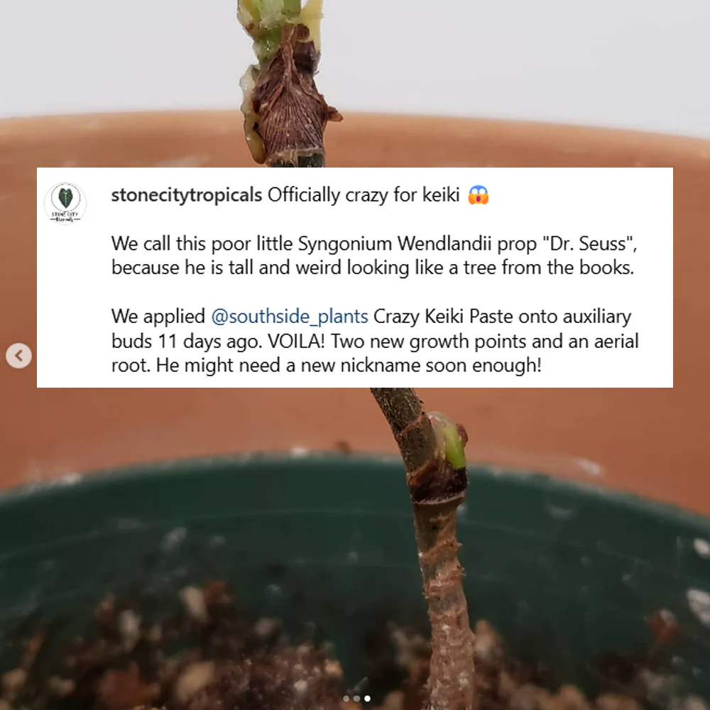 Crazy Keiki Cloning Paste - 7mls Starter Kit - Image 6