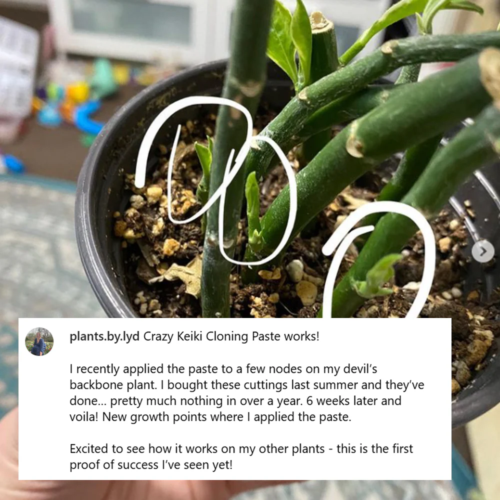 Crazy Keiki Cloning Paste - 7mls Starter Kit - Image 7