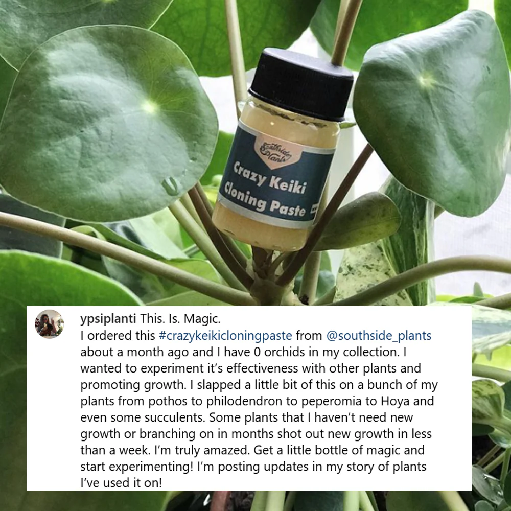 Crazy Keiki Cloning Paste - 7mls Starter Kit - Image 8