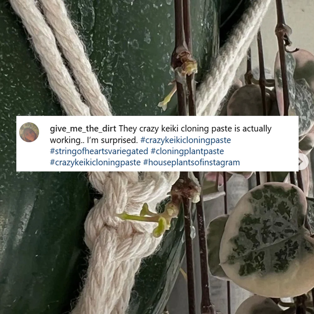 Crazy Keiki Cloning Paste - 7mls Starter Kit - Image 9