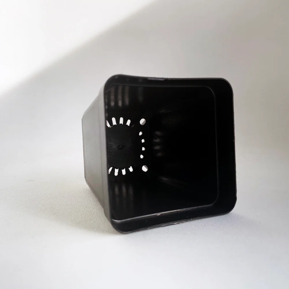 Crew Mini Pot Square - 7.5cm x 6.5cm - BLACK - Image 3