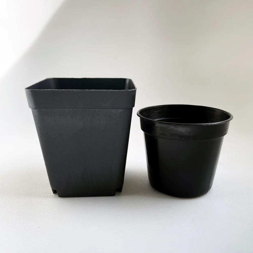 Crew Mini Pot Square - 7.5cm x 6.5cm - BLACK - Image 4
