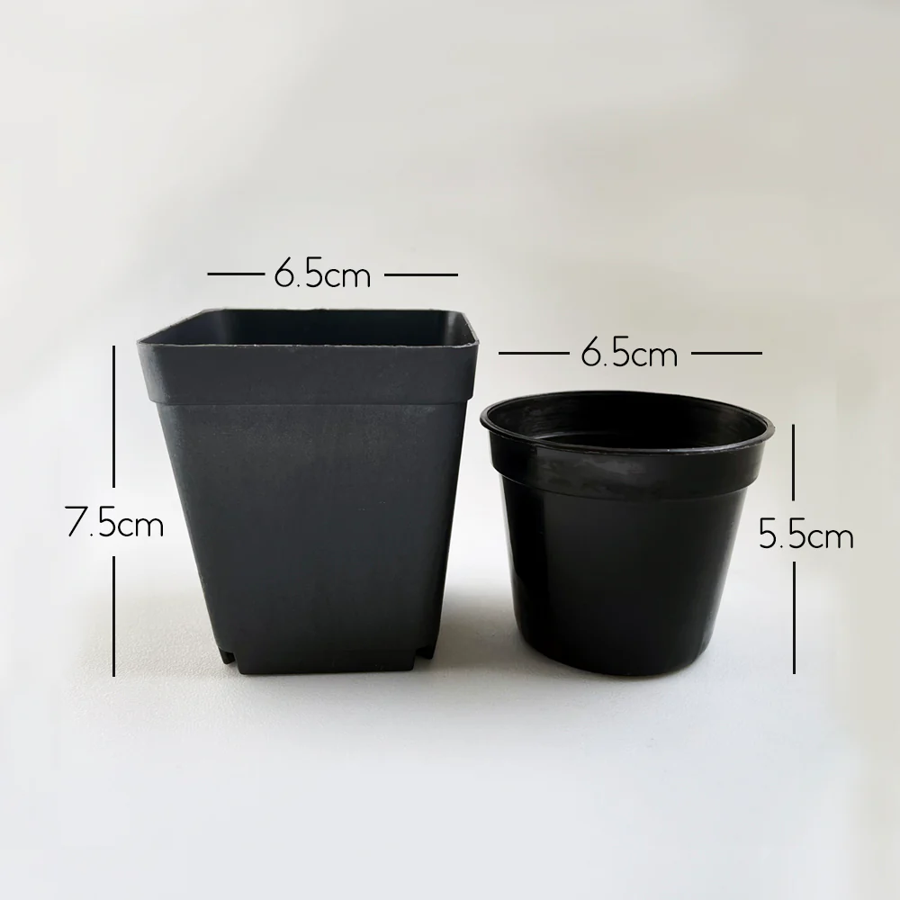 Crew Mini Pot Square - 7.5cm x 6.5cm - BLACK - Image 5