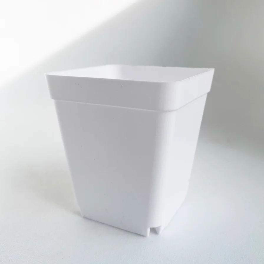 Crew Mini Pot Square - 7.5cm x 6.5cm - WHITE - Image 3