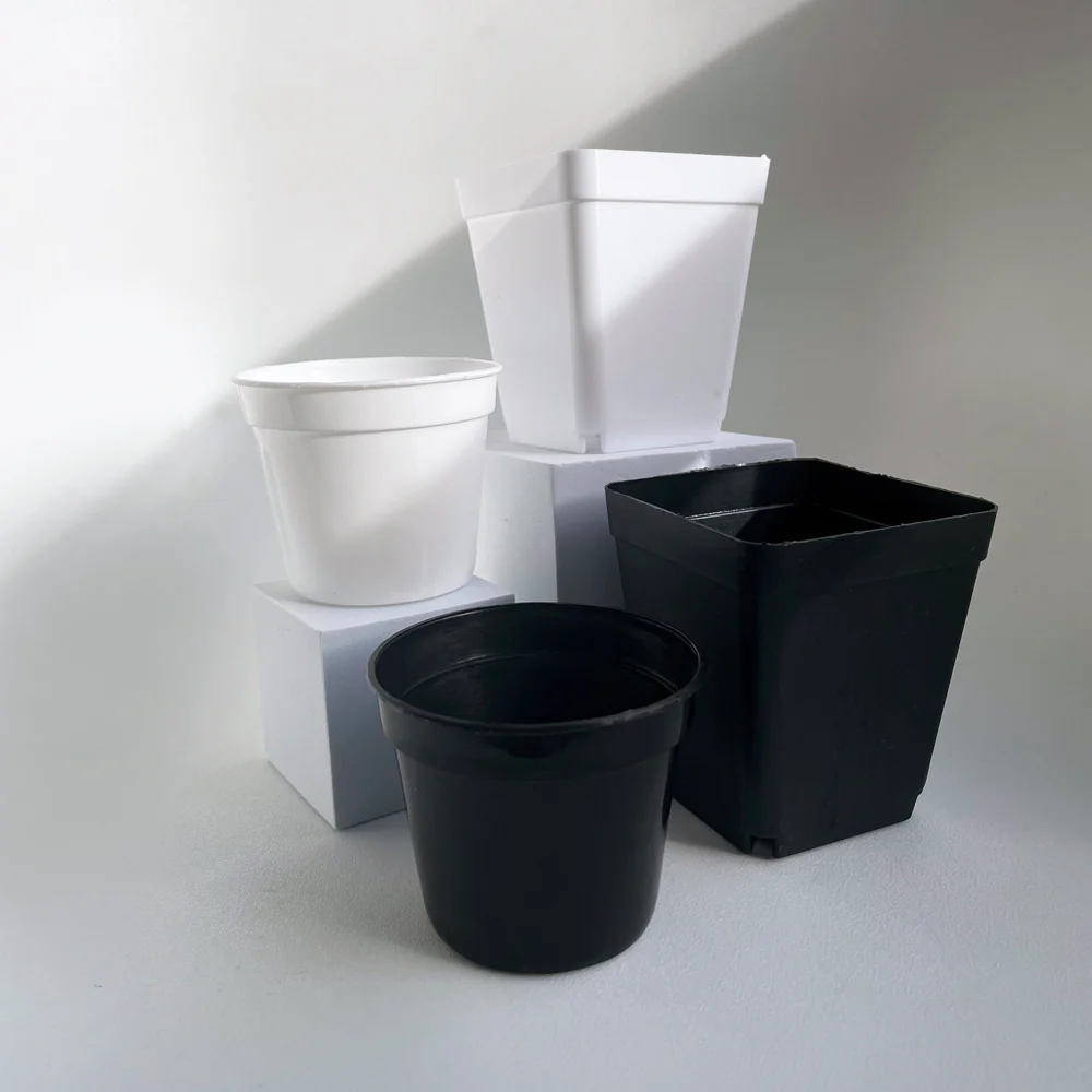 Crew Mini Pot Square - 7.5cm x 6.5cm - WHITE - Image 6