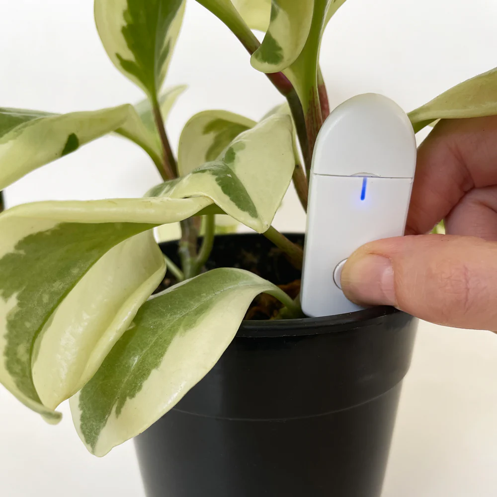 Crew Soil Sensor Soil Moisture Meter - Image 11