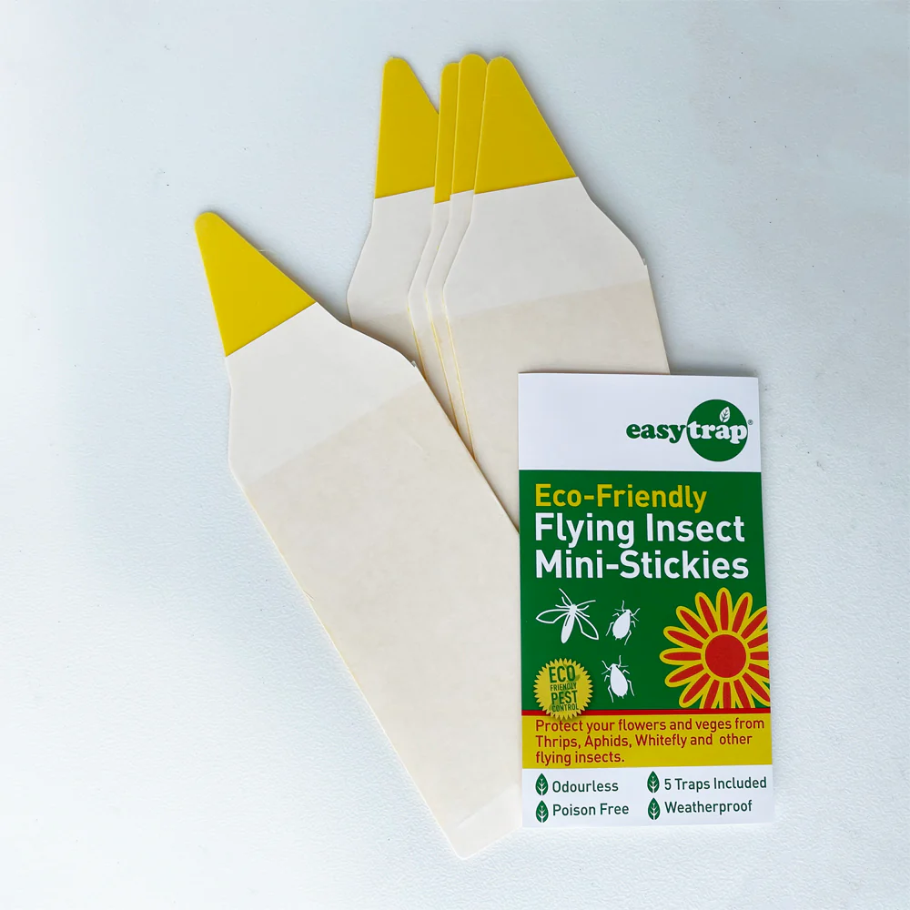 Easy Trap Stickies 5 pack - Mini yellow sticky traps for Fungus Gnats - $1.48 per trap - Image 3