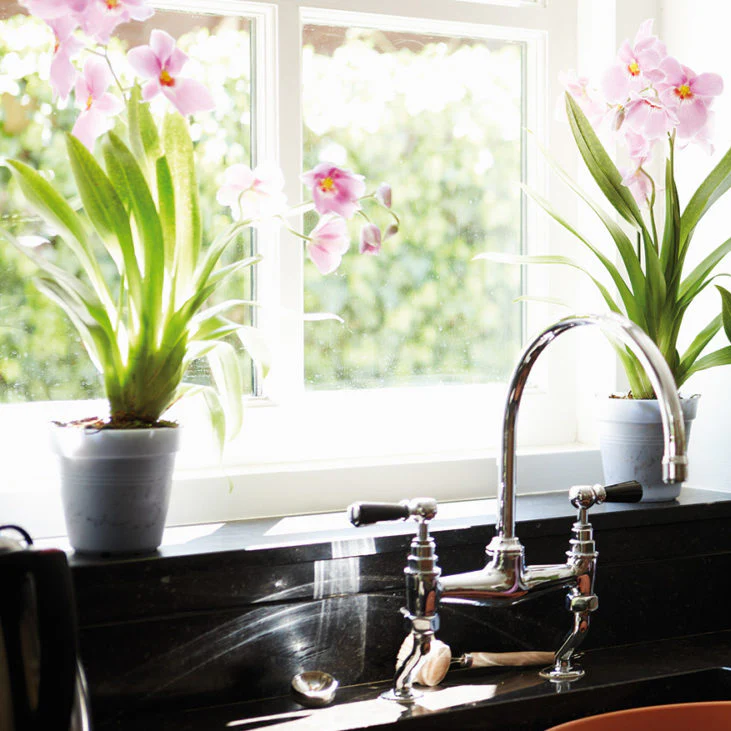 ELHO Basics Transparent Nursery Pot - 17cm wide x 16cm high - Image 4