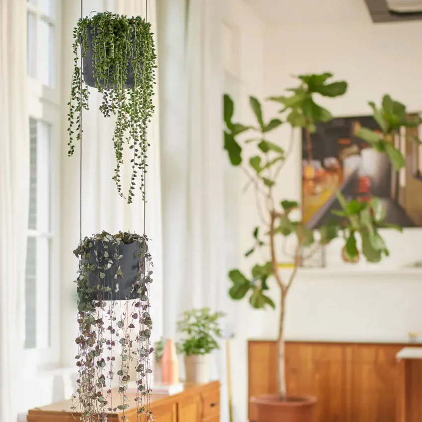 Elho Swing Stackable Hanging Pot - 100% Recycled - 18cm Charcoal - Image 3