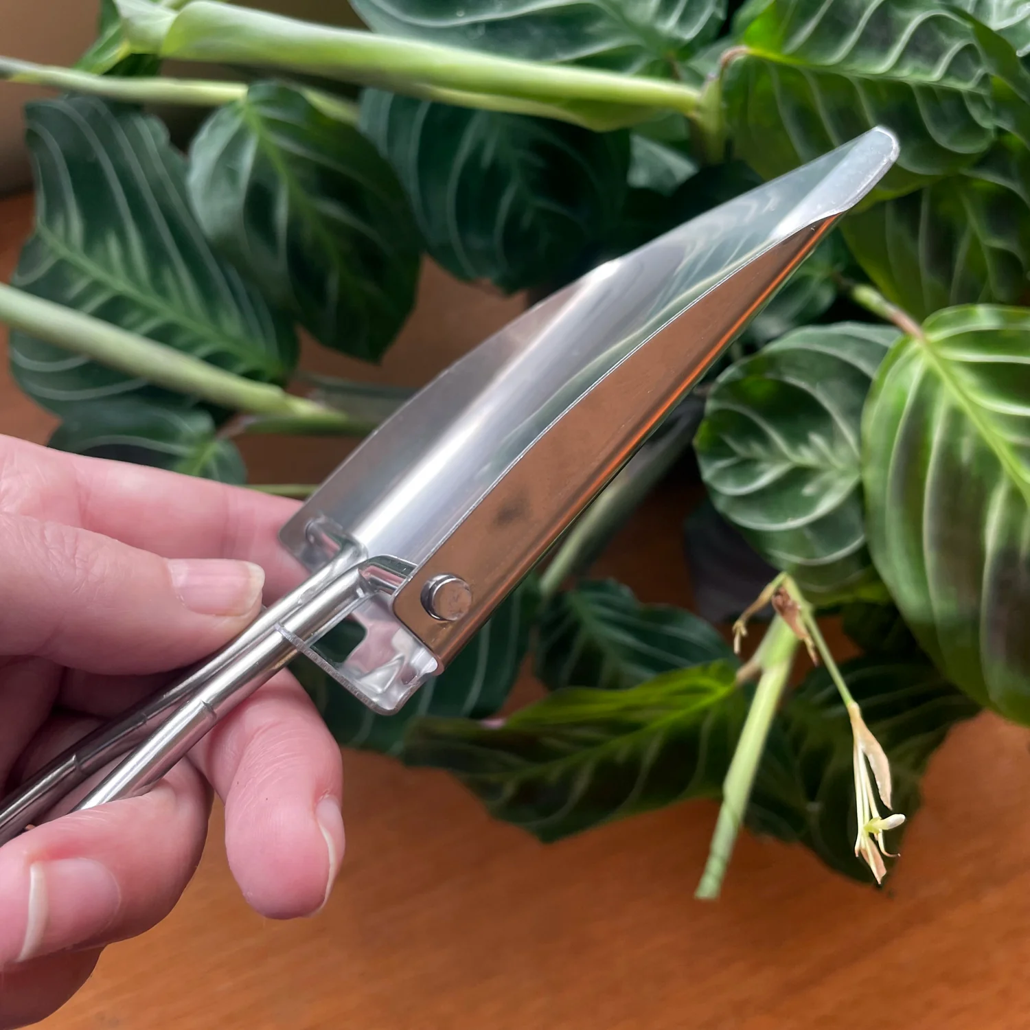 Foldable Mini Stainless Steel Indoor Plant Shovel - SILVER - Image 5