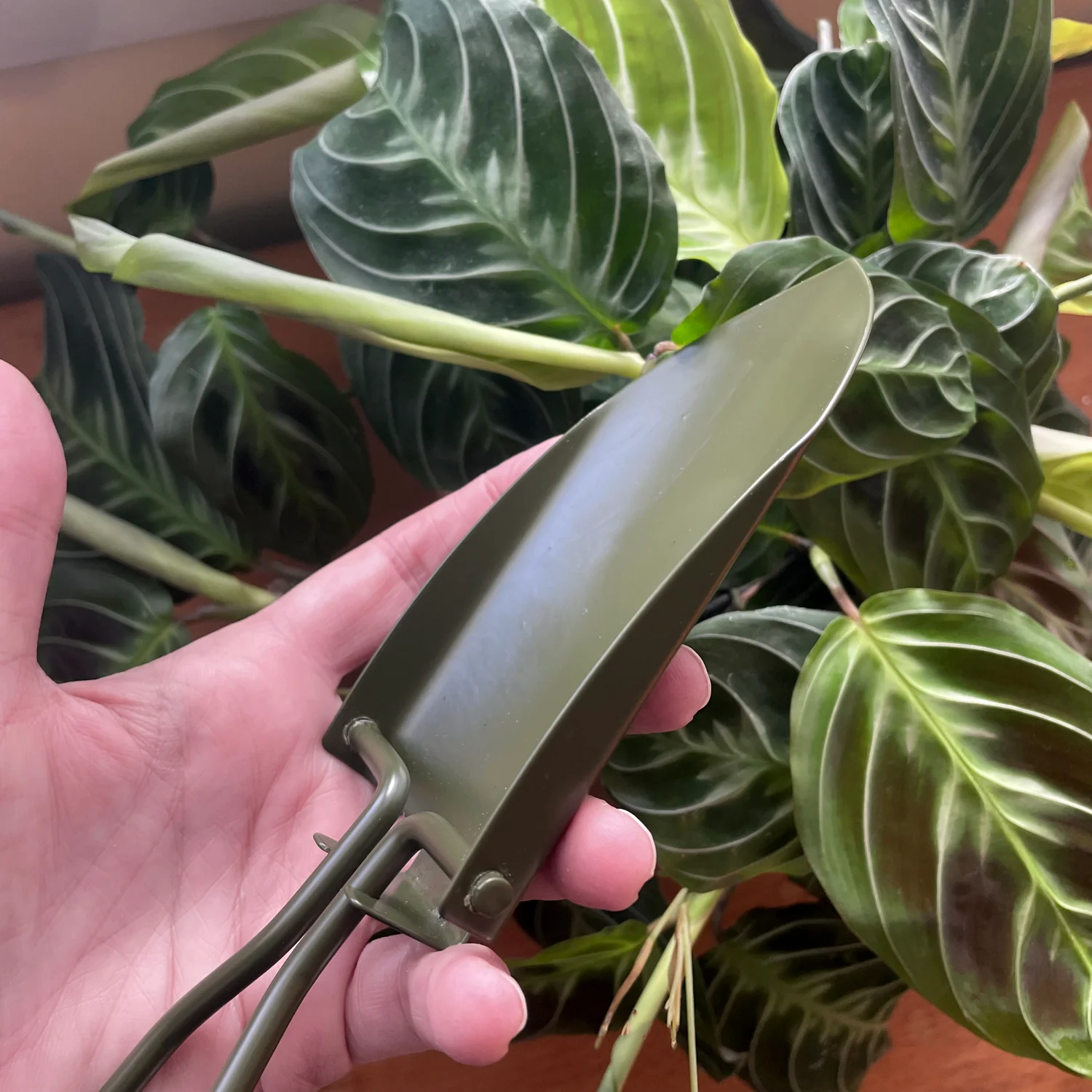 Foldable Mini Stainless Steel Indoor Plant Shovel with pouch - ARMY GREEN - Image 5