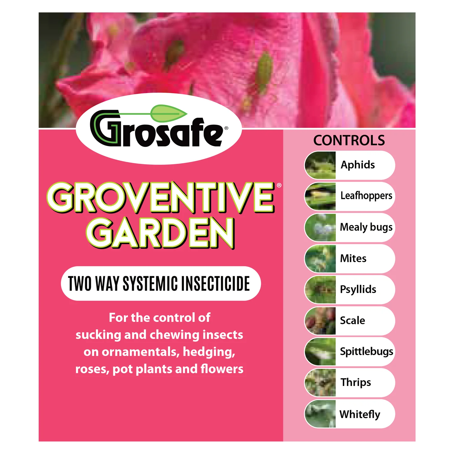 Grosafe Groventive - Systemic Insecticide for Aphids, Mealybugs, Mites, Scale & Thrips - 200ml - Image 3