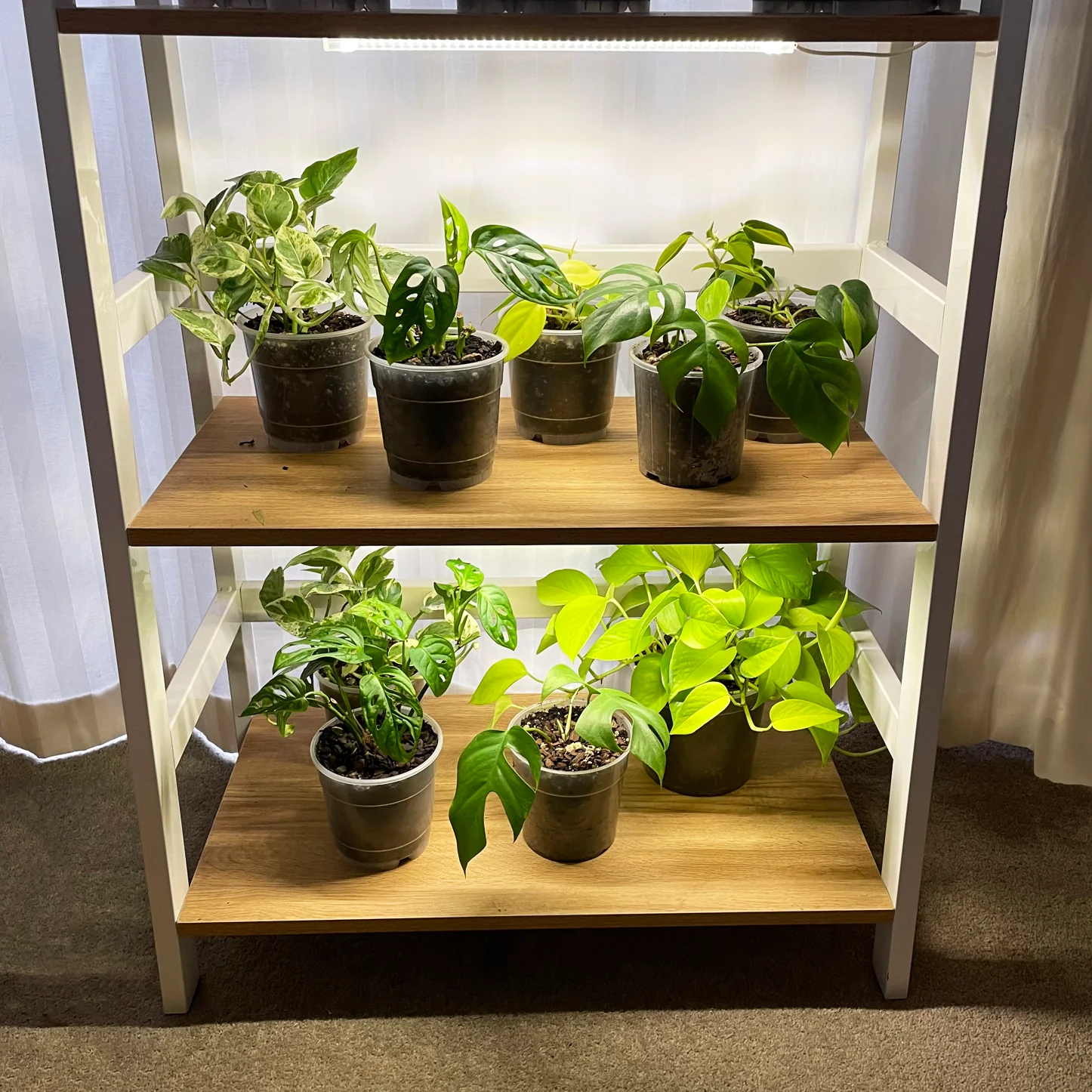 Grow Bar - Grow Light Kit with NZ plug adaptor included - Image 7