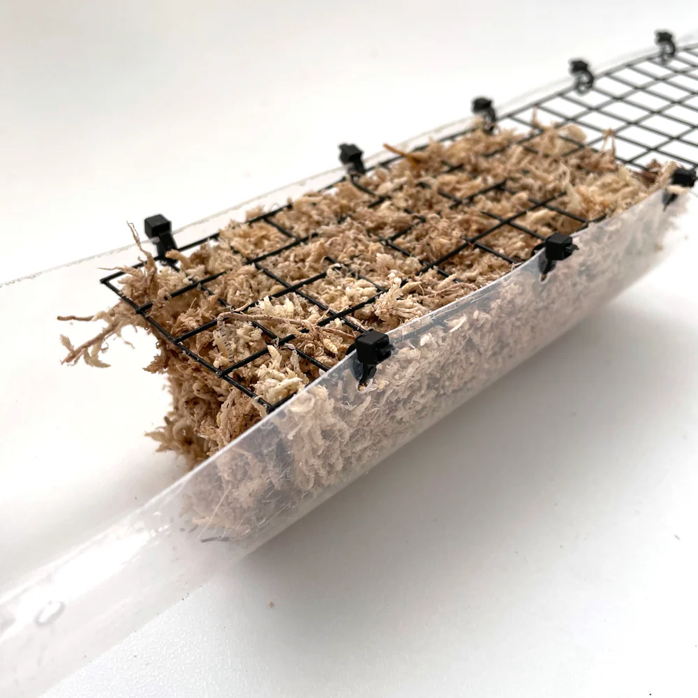 Grow Vertical Propstick PRO - 70cms CLEAR - Image 4