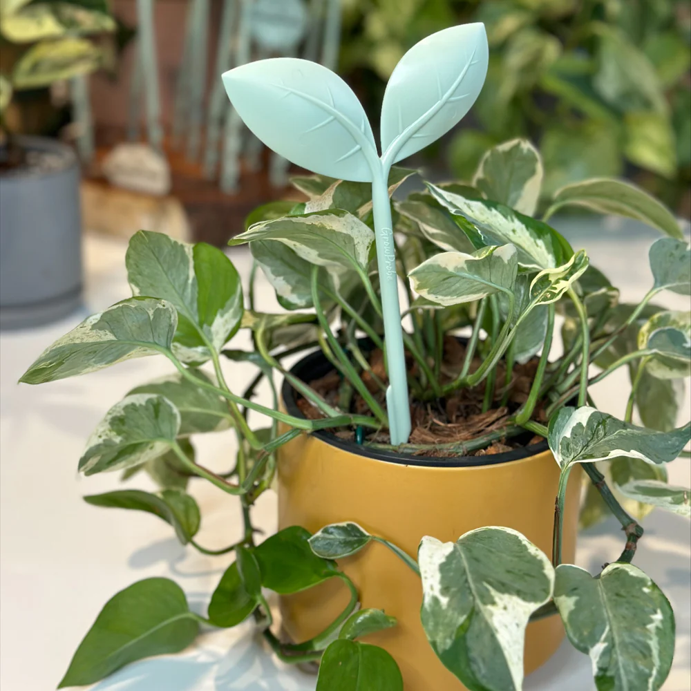 GrowProbe Soil Moisture Tester - 2 Colours - NZ MADE - Image 10