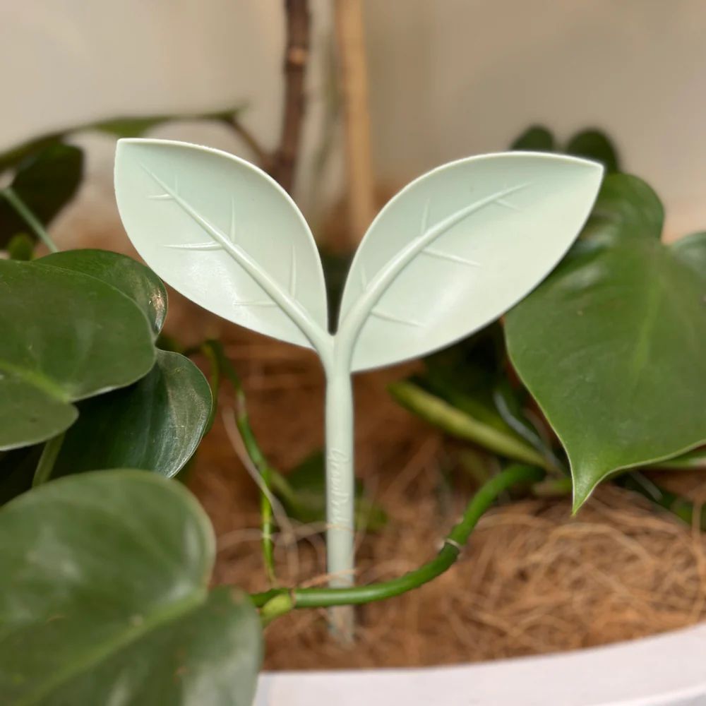 GrowProbe Soil Moisture Tester - 2 Colours - NZ MADE - Image 9