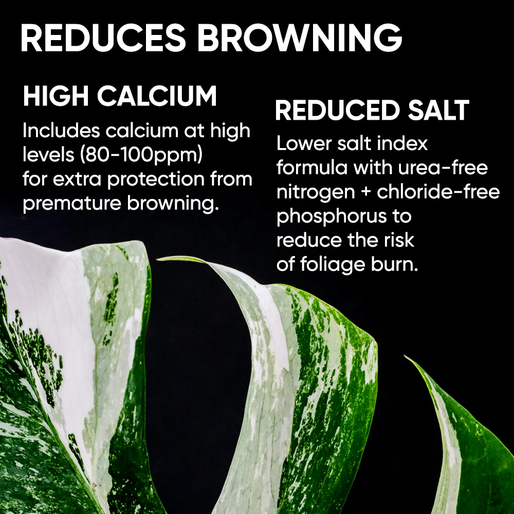 Growth Technology GT FOLIAGE Focus - 1 Litre - Image 3