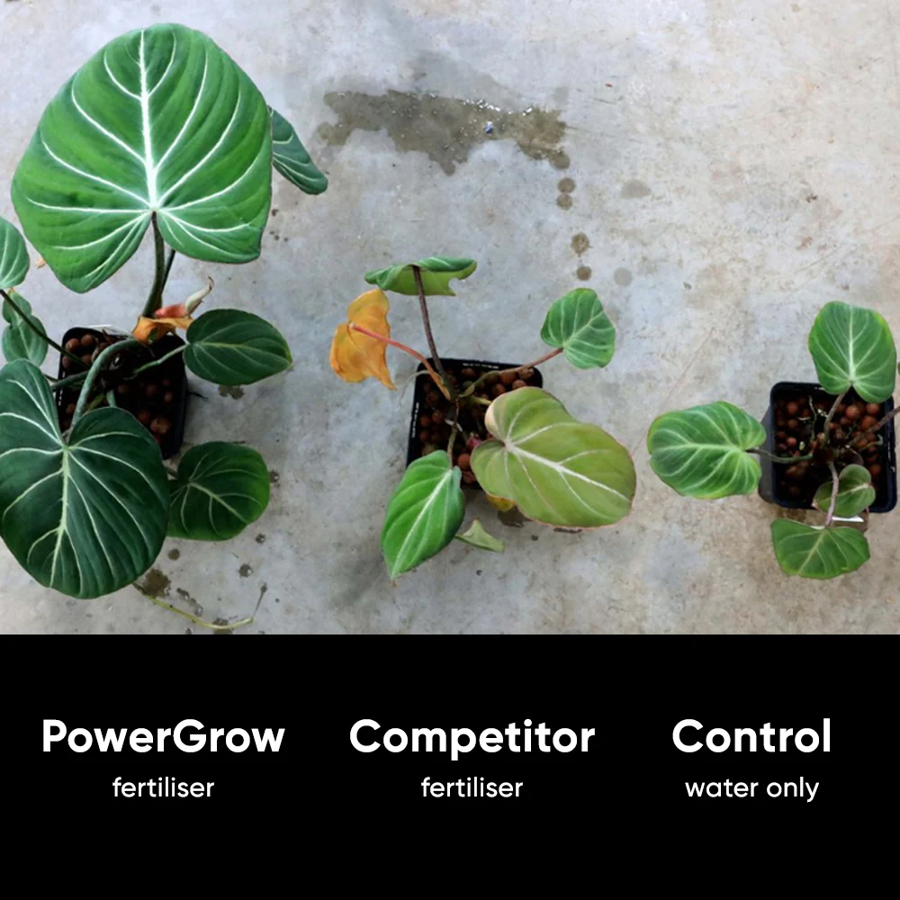 NurtureSystem No.1 PowerGrow *COMING SOON* - Image 4