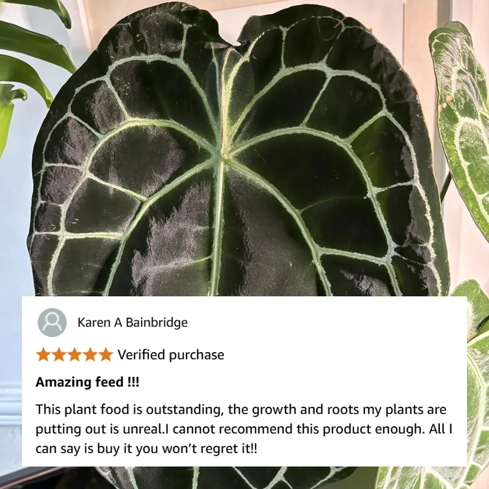 NurtureSystem No.1 PowerGrow *COMING SOON* - Image 5