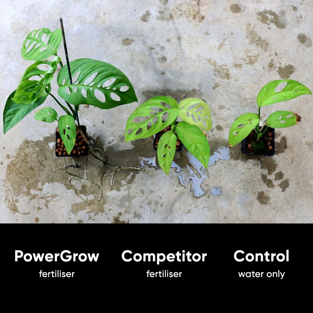 NurtureSystem No.1 PowerGrow *COMING SOON* - Image 6