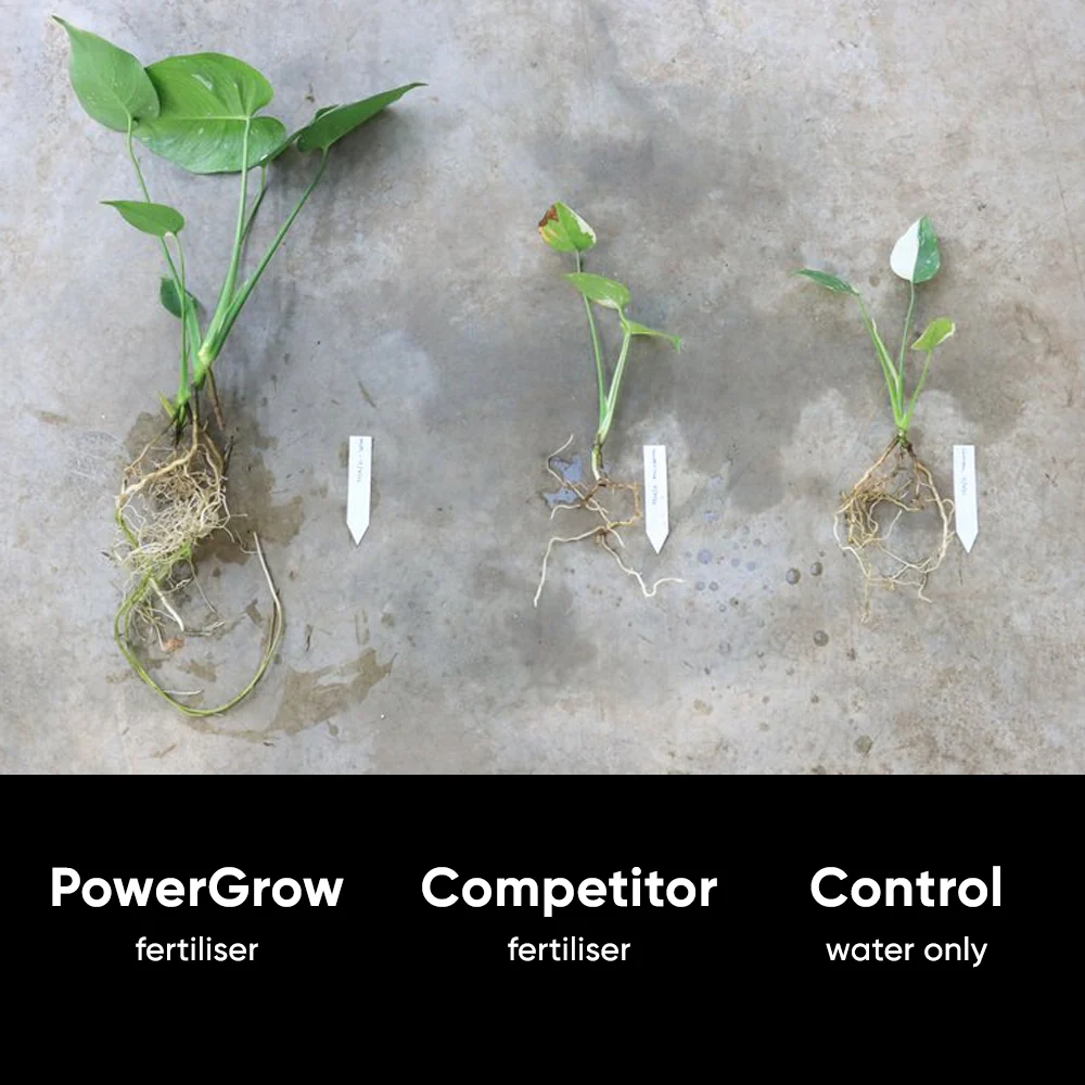 NurtureSystem No.1 PowerGrow *COMING SOON* - Image 8