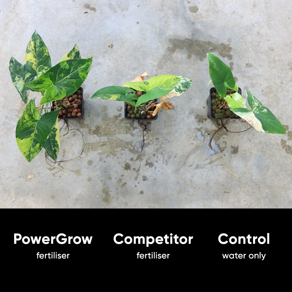 NurtureSystem No.1 PowerGrow *COMING SOON* - Image 9