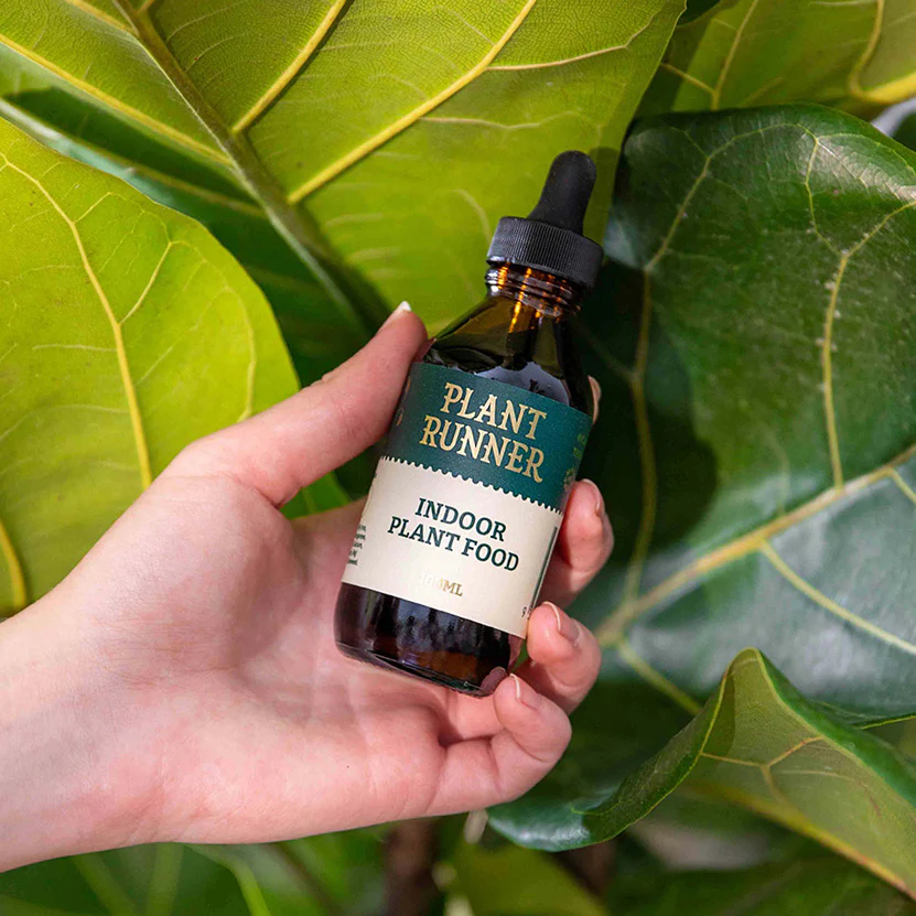 NEW Plant Runner Indoor Plant Food 100ml - Image 3