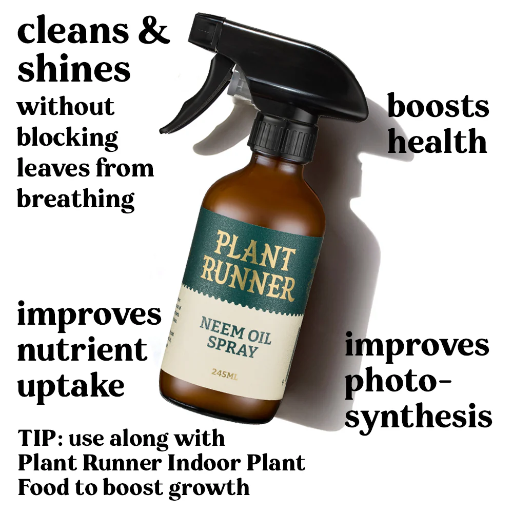 NEW Plant Runner Plant Care Essentials Gift Kit - Image 5
