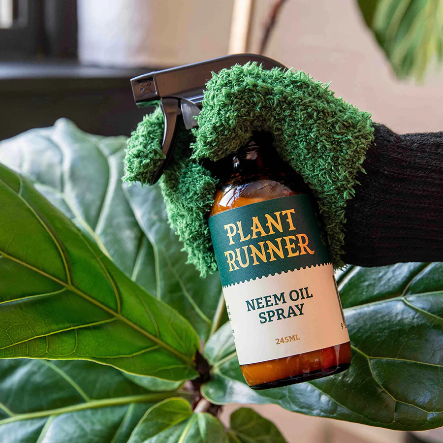 NEW Plant Runner Neem Oil Leaf Shine 245ml - Image 4