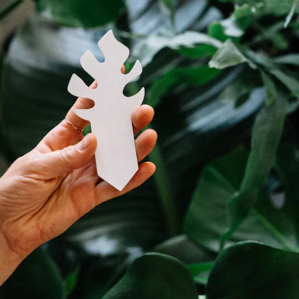 PlantDoc Moisture Meter - Mini Monstera - 5 pack - Image 4