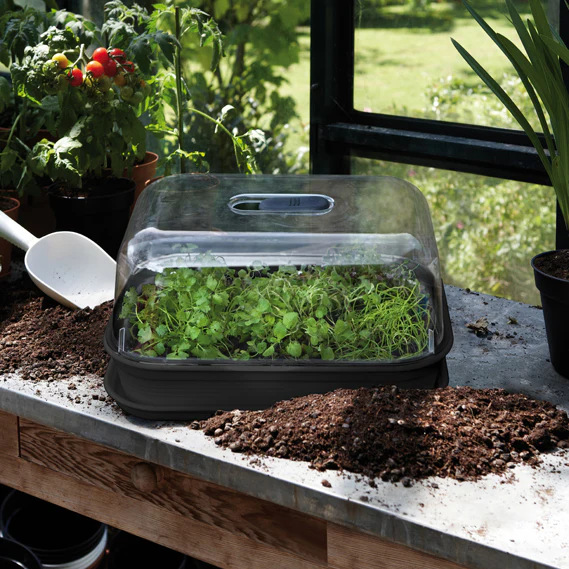 GIFT KIT Elho Green Basics Grow House with Plant Labels - Medium - Image 3