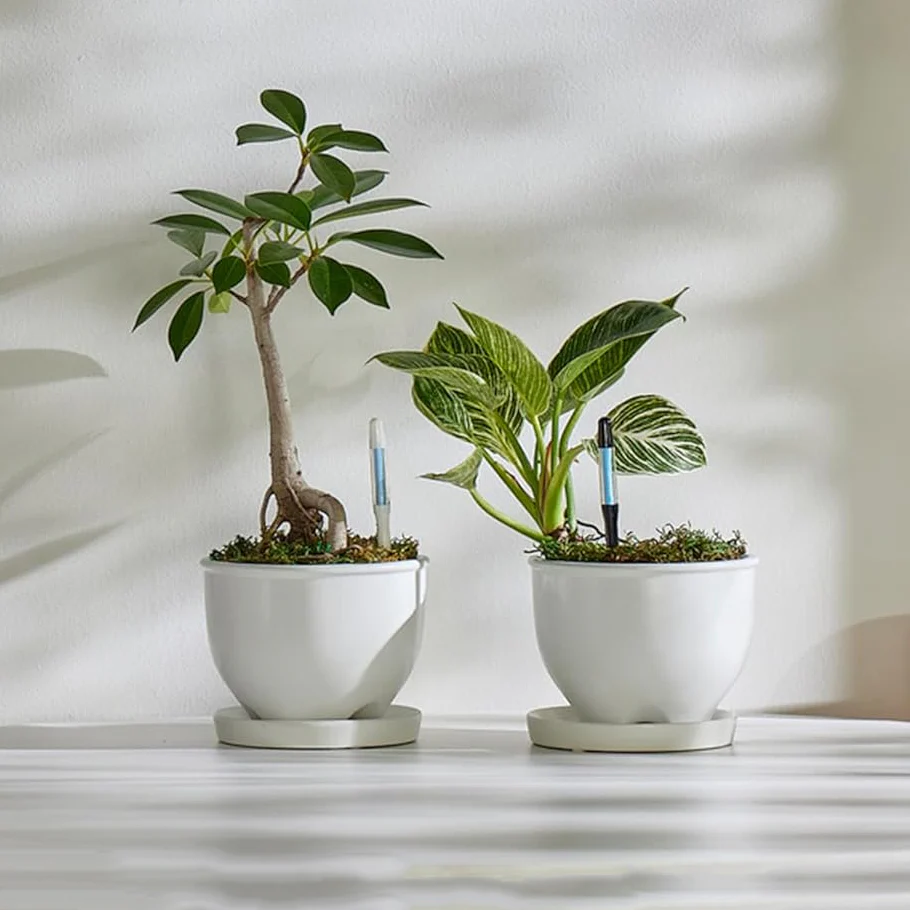 Sustee Water Meter - BLACK (3 sizes) - Image 3