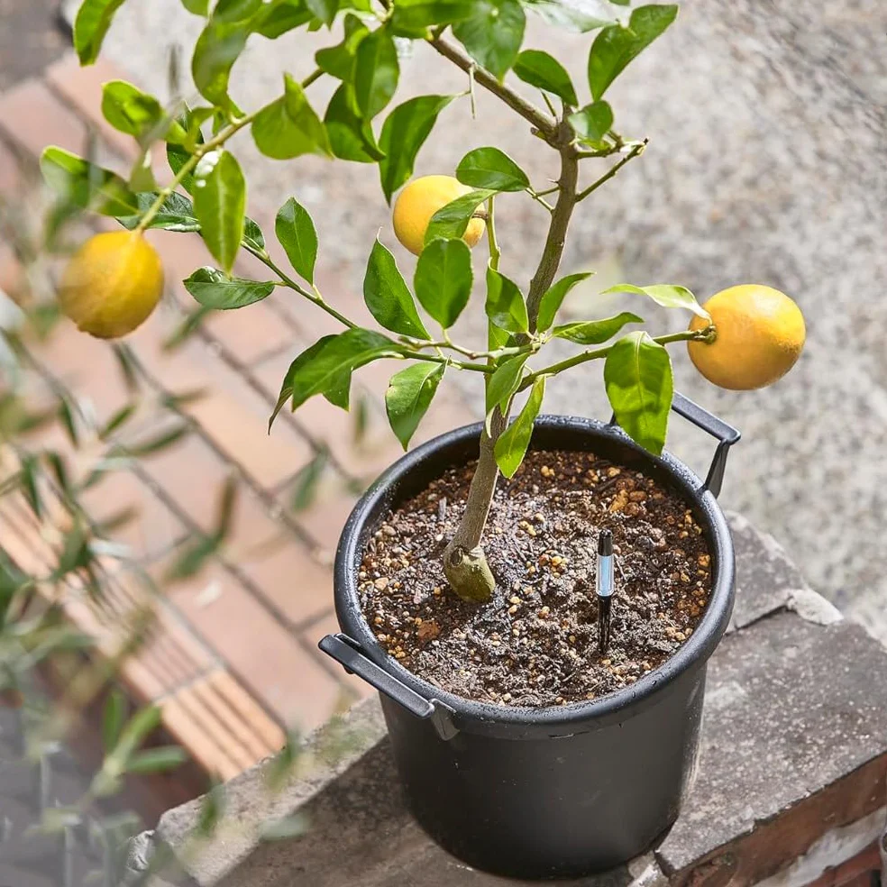 Sustee Water Meter - BLACK (3 sizes) - Image 5