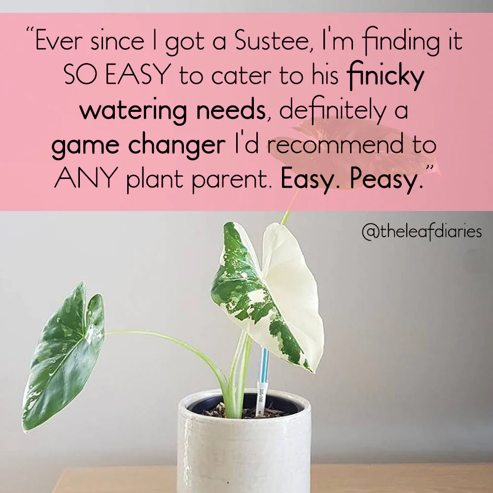 Sustee Water Meter - BLACK (3 sizes) - Image 8