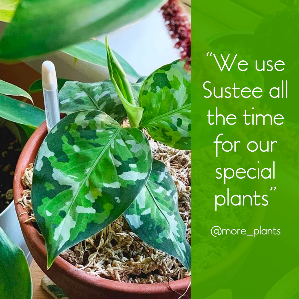 Sustee Water Meter - GREEN (3 sizes) - Image 3