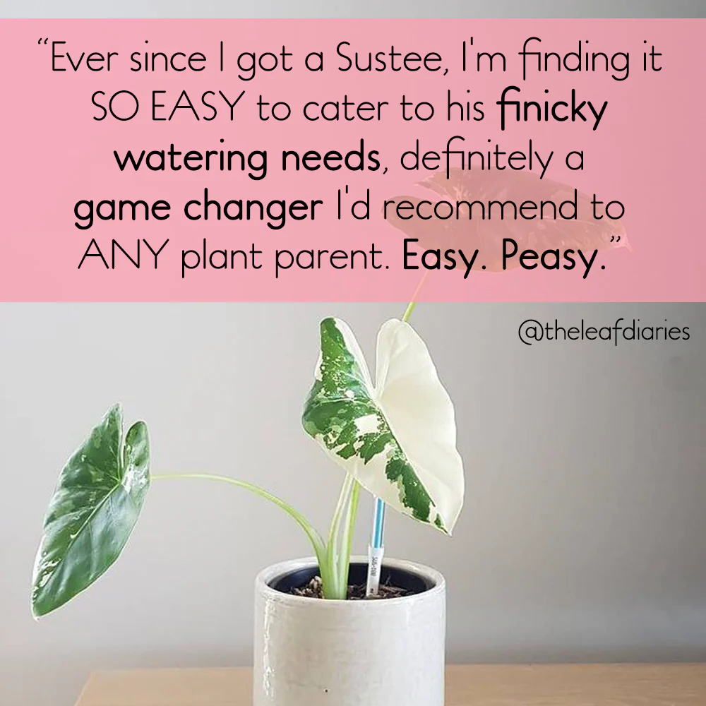 Sustee Water Meter - GREEN (3 sizes) - Image 4